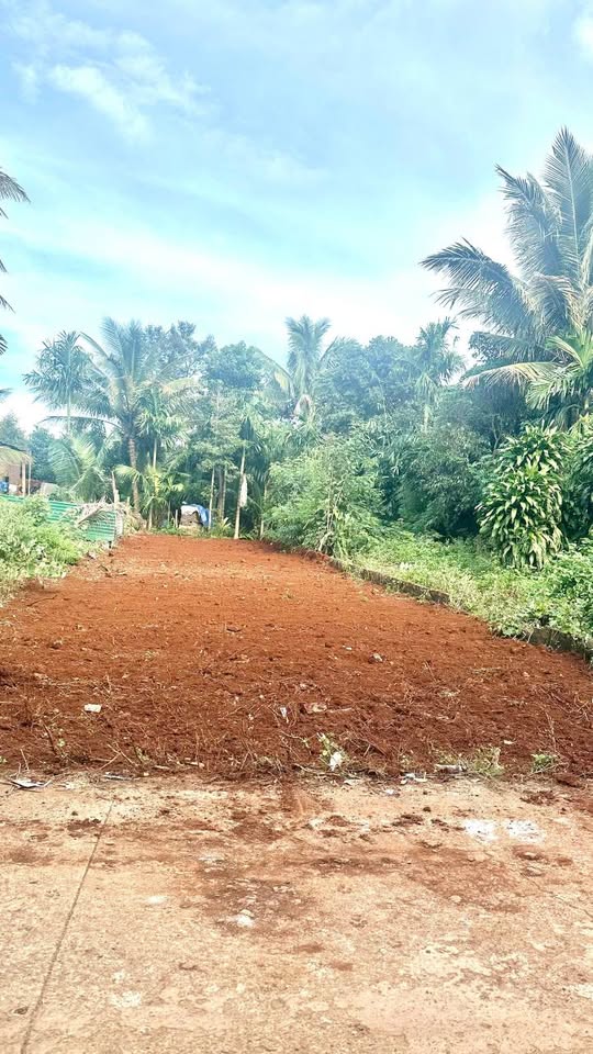 Cơ hội đầu tư không thể bỏ lỡ tại mặt tiền đường D3, Đạt Lý, Buôn Ma Thuột