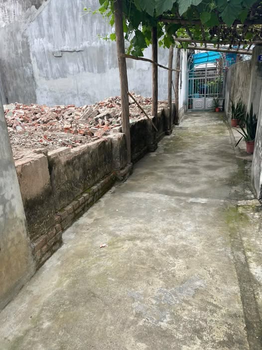 Đất Phú Xuyên 118m2 sổ đỏ thổ cư, đường ô tô, giá chỉ nhỉnh 1 tỷ