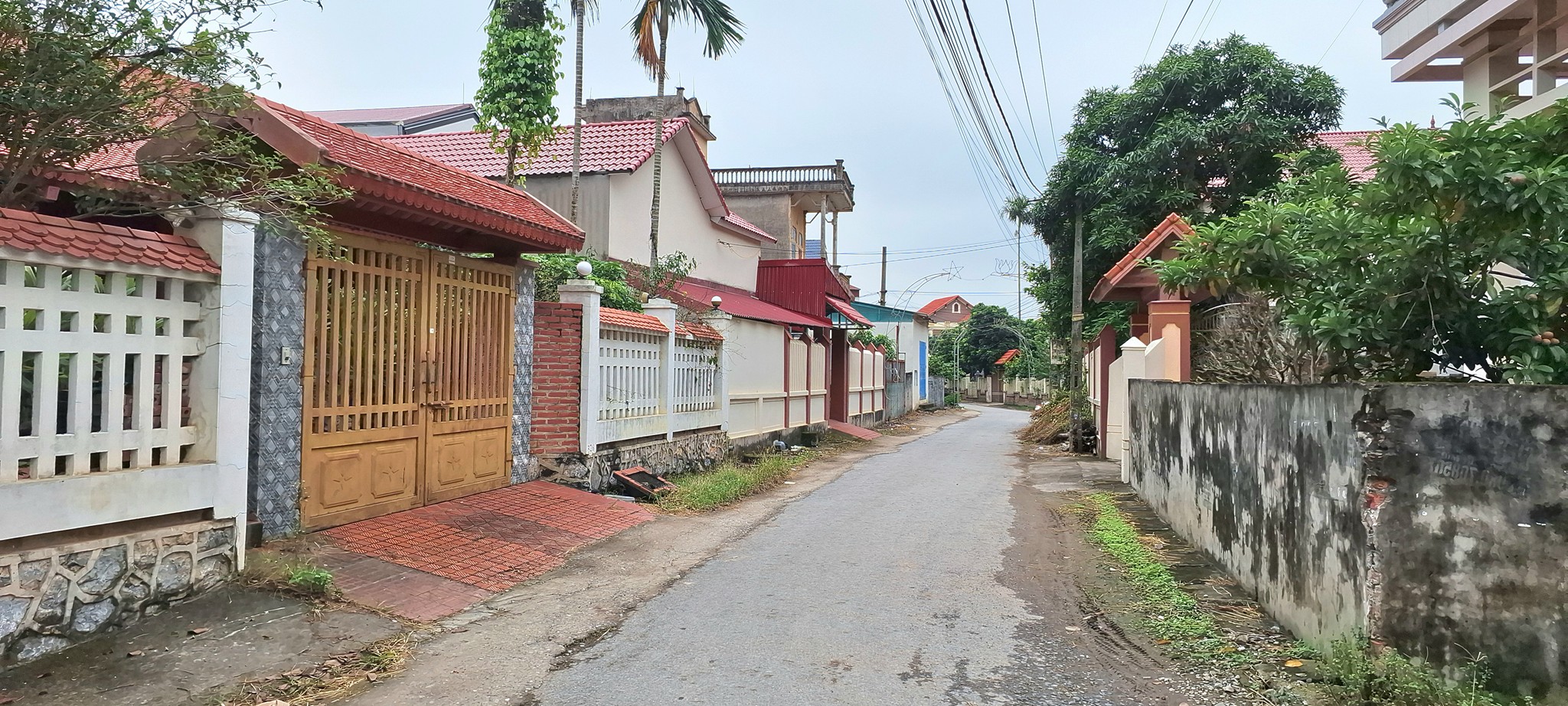 Đất trục chính Đan Tràng - Cẩm Giàng - Kinh doanh bạt ngàn, giá hời