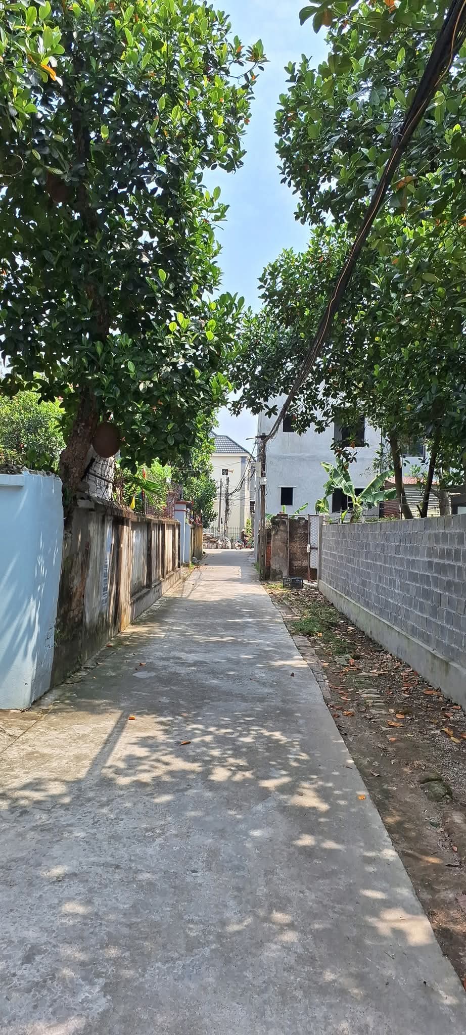 Mảnh đất vàng Làng Ghẽ, Tràng Kỹ 68m² mặt tiền rộng, vị trí đắc địa, giá chỉ 1,3 tỷ