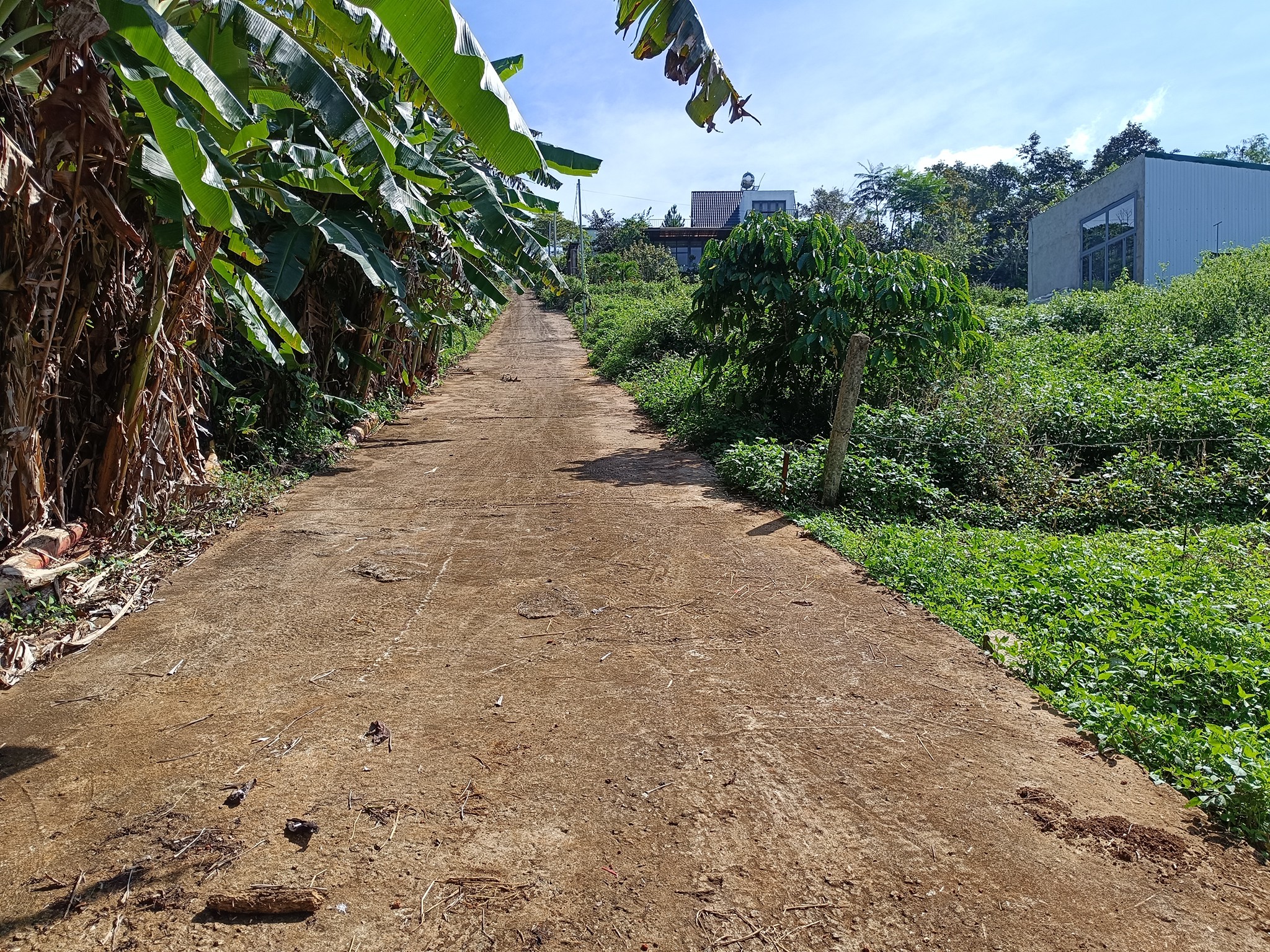 Sở hữu đất thổ cư 522m2 tại Bảo Lộc, giá chỉ 870 triệu