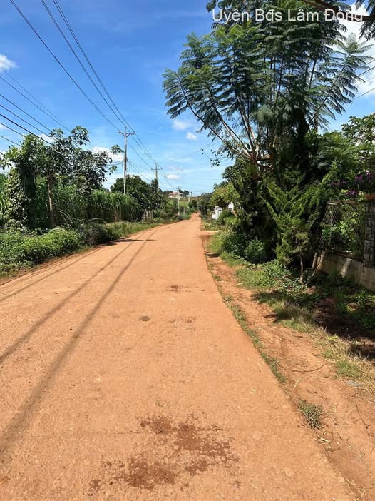 Siêu phẩm đất view sông tại Đơn Dương, Lâm Đồng