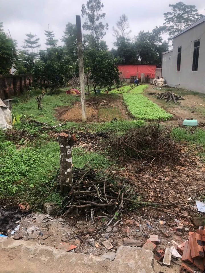 Sốc bán gấp đất Thụy An, 375m2, mặt tiền 10m, chia 2 lô, giá chỉ 2 tỷ