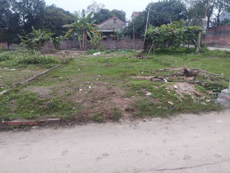 Bán đất tại thôn Điền Trù, Hướng Đạo, gần khu công nghiệp