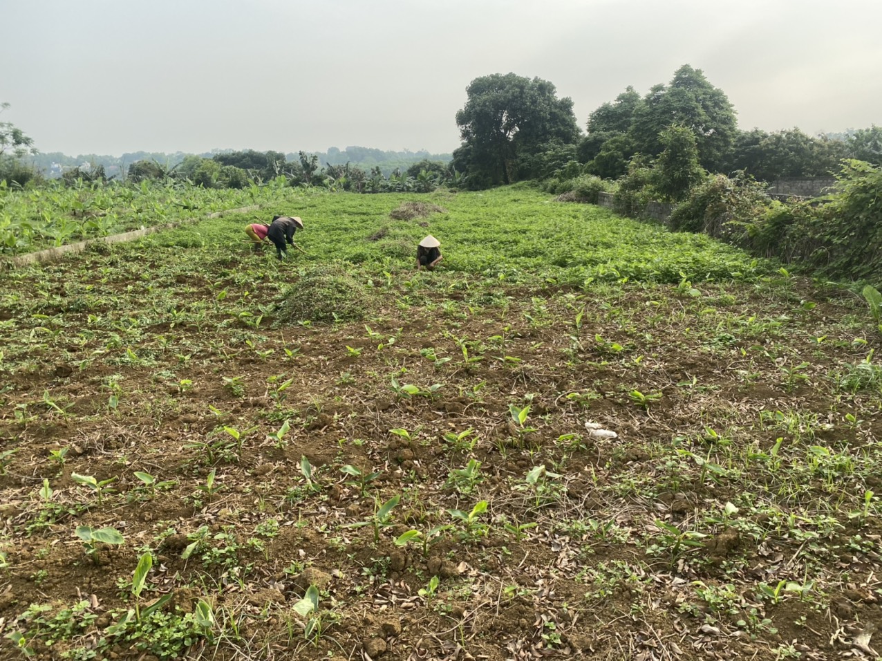 Bán đất 1000m2 lô góc tại Lương Sơn, Hòa Bình, view thoáng, gần sân golf Skylake
