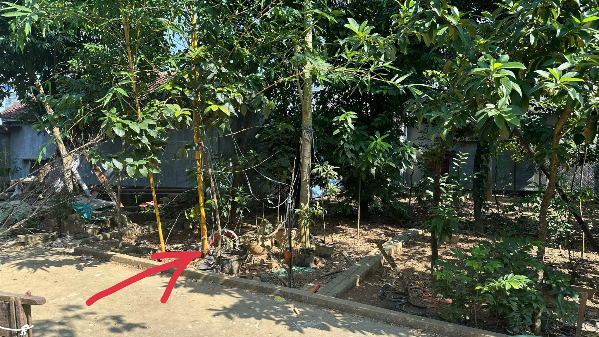 Bán đất Tân Xã, Thạch Thất, 62.3m2, ngõ 2 ô tô tránh, dòng tiền ổn định