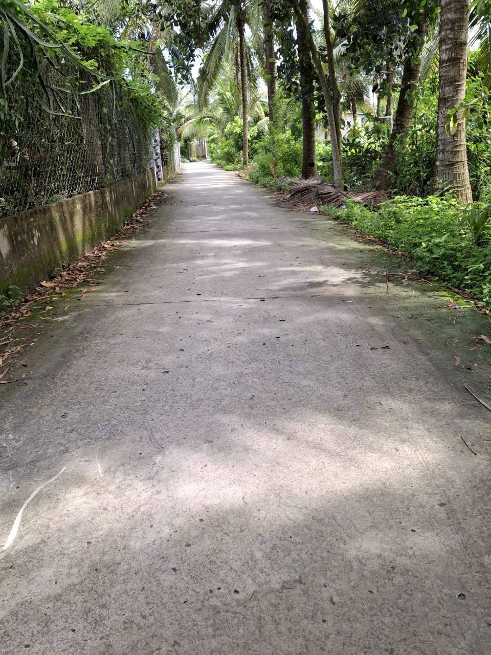 Bán đất trồng dừa diện tích 5.400m2 tại Tân Hội, Cai Lậy, Tiền Giang