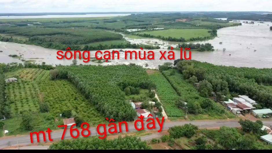 Đất mặt tiền đường nhựa Trị An, Đồng Nai cơ hội đầu tư vàng