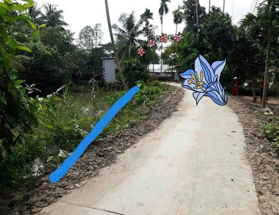 Nền sổ riêng giá chỉ 160 triệu, đầu tư sinh lời ngay