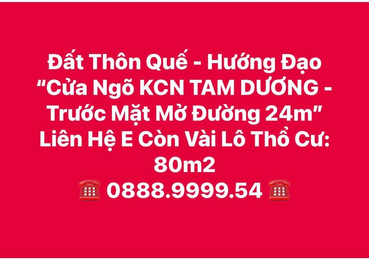 Bán đất thổ cư 80m2 Hướng Đạo, Vĩnh Phúc, gần khu công nghiệp Tam Dương, mặt tiền 24m