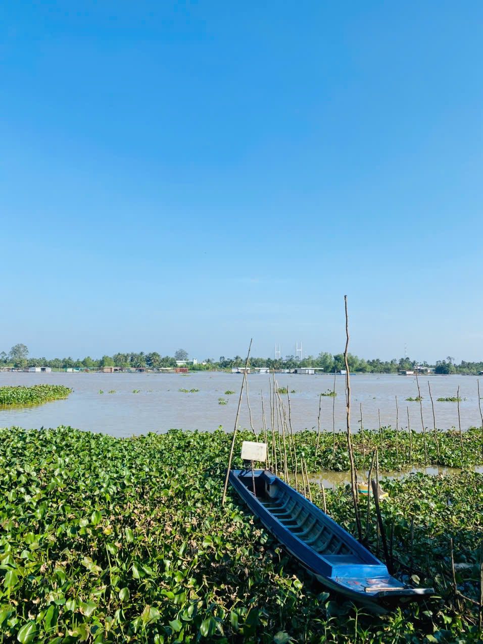 Nền Phú Túc hữu tình bên Sông Tiền thơ mộng