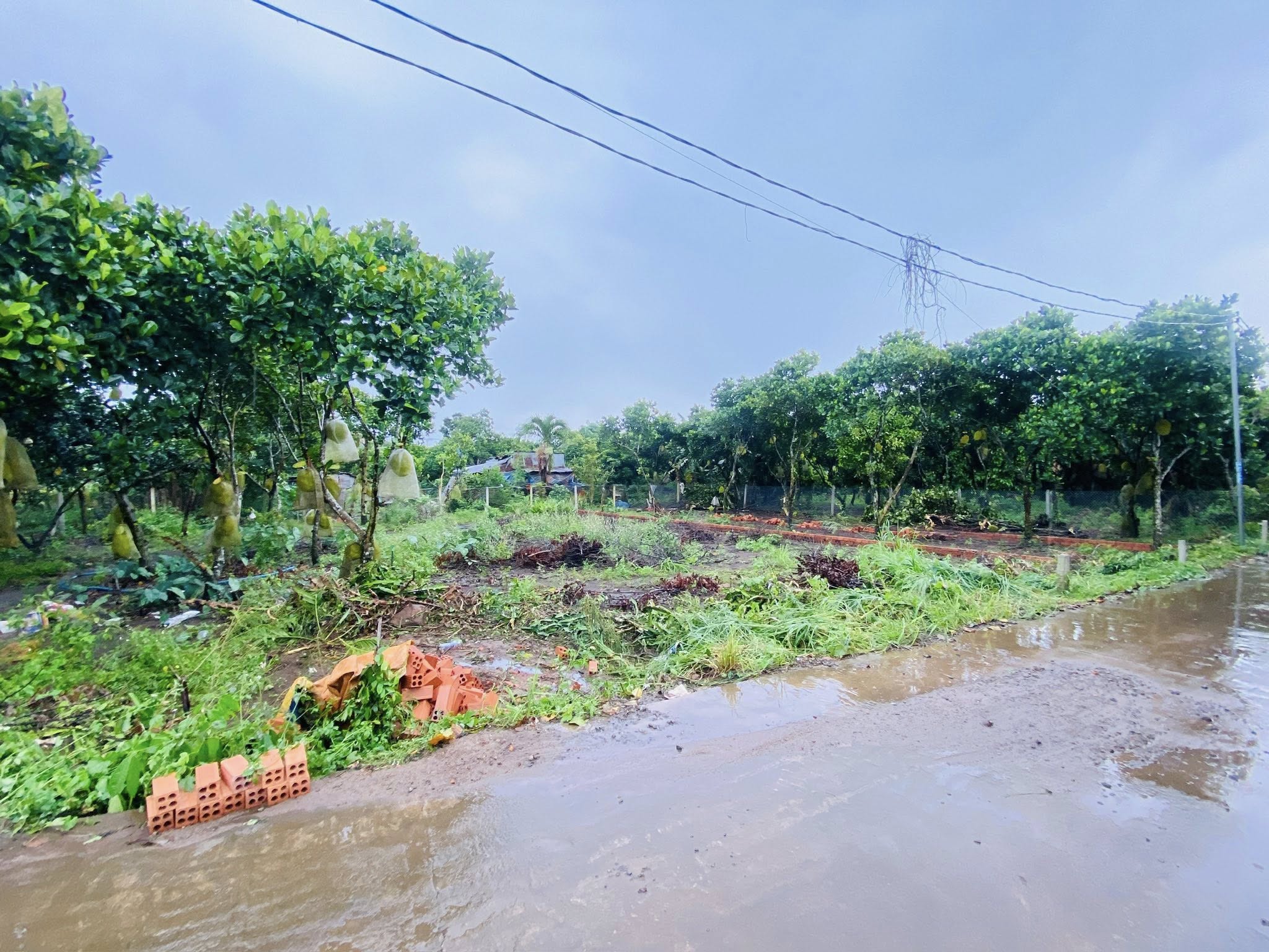 Cơ hội đầu tư hấp dẫn với lô đất nền tiềm năng tại Phường Bảo Vinh, chỉ cách đường nhựa Hàm Nghi 150m