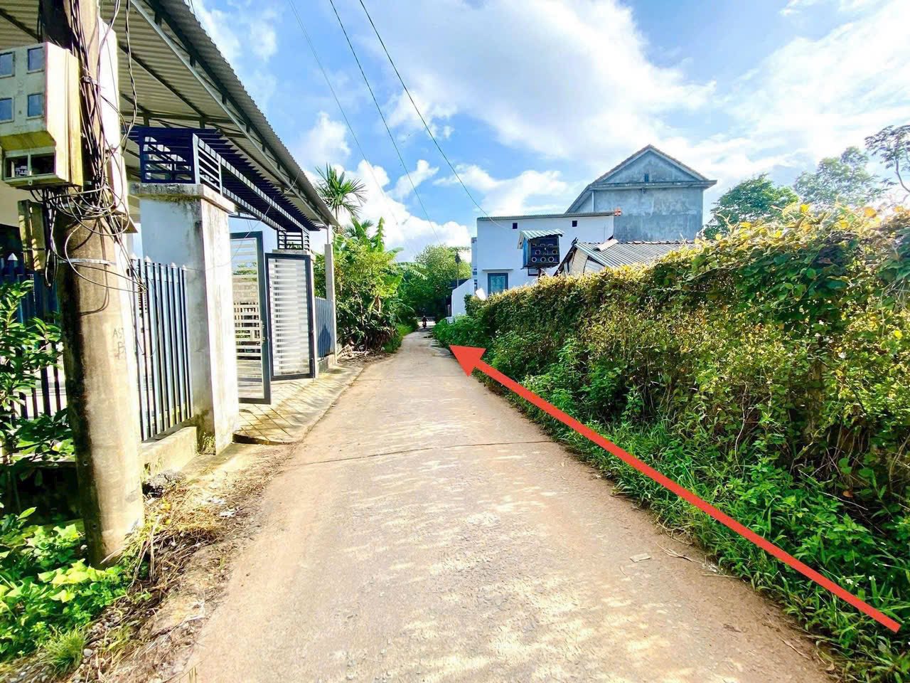 Bán mảnh đất vuông vắn 118m2, ngang 7.9m, sẵn sổ hồng tại Đông Lâm, Phong An