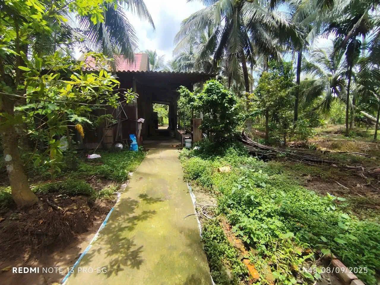 Cần bán gấp lô đất vườn siêu đẹp tại Tân Thành Bình, diện tích khủng 2.000 m²