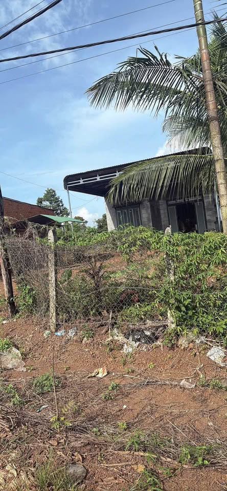 Cơ hội có một không hai tại Thôn 15 Eabar, Đắk Lắk