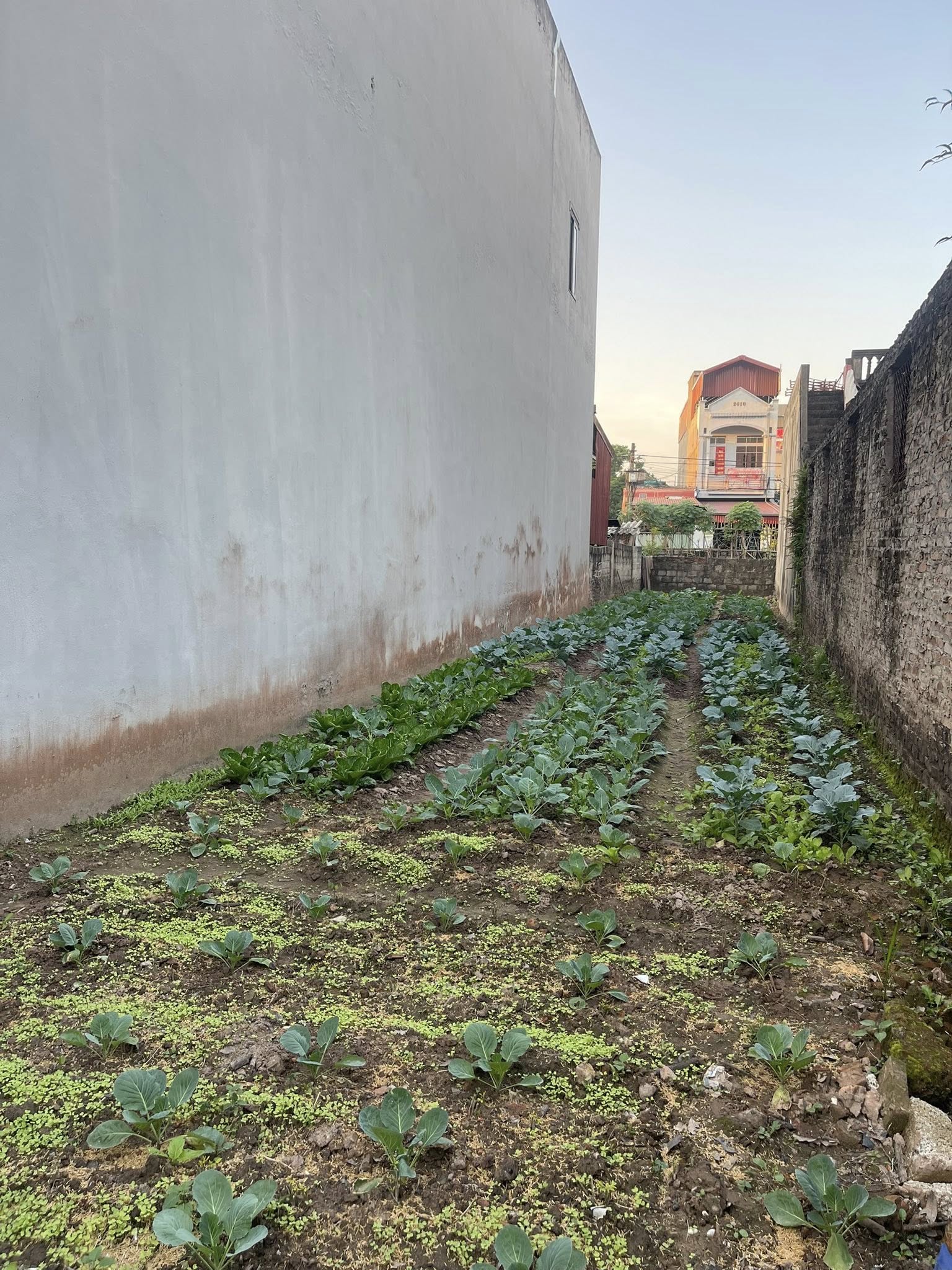 Đất Hưng Yên 129m2, mặt tiền 4m, gần chợ, dân cư đông đúc, giá hời