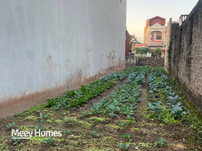 Đất Hưng Yên 129m2, mặt tiền 4m, gần chợ, dân cư đông đúc, giá hời