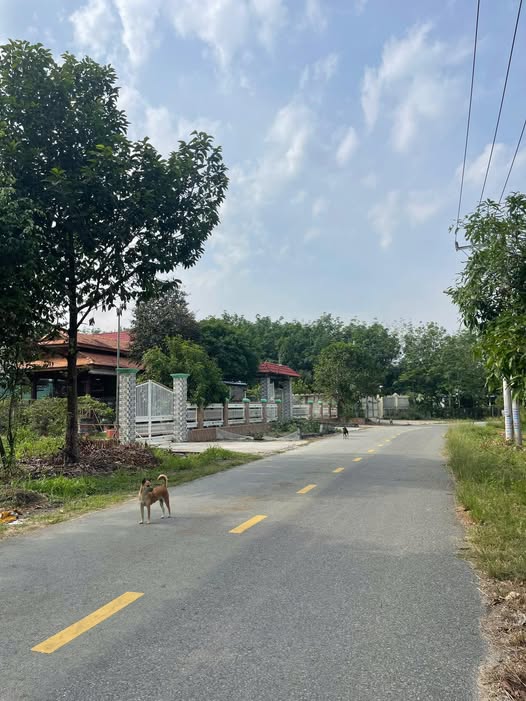 Đất vàng Long Nguyên, Bàu Bàng, 15mx75m, cơ hội đầu tư sinh lời