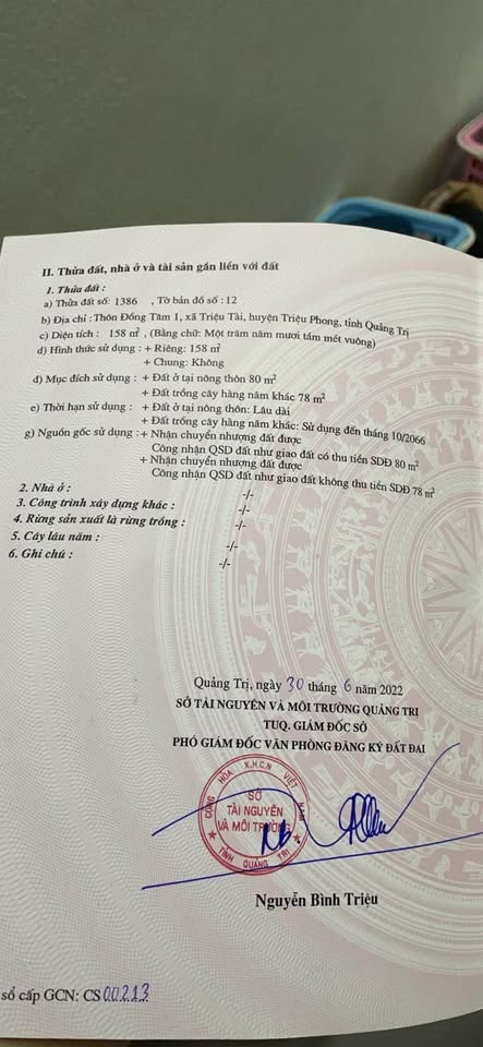 Mảnh đất vàng Đồng Tâm, cơ hội an cư đầu tư sinh lời