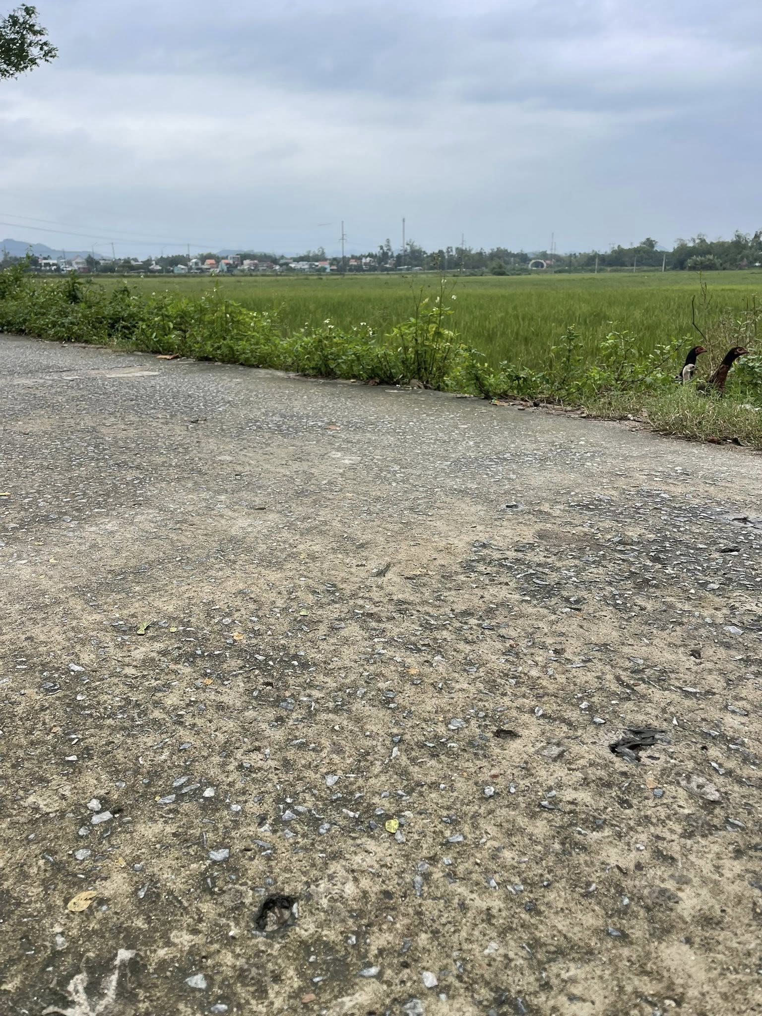 Bán đất thổ cư 143m2 đường Điện Biên Phủ, Tam Kỳ, Quảng Nam