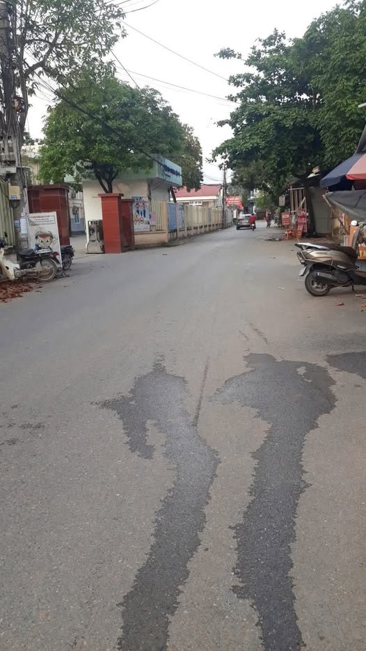 Bán đất 160m2 mặt tiền 8m, có nhà cấp 4 tại Phú Lộc, Phù Ninh, Phú Thọ