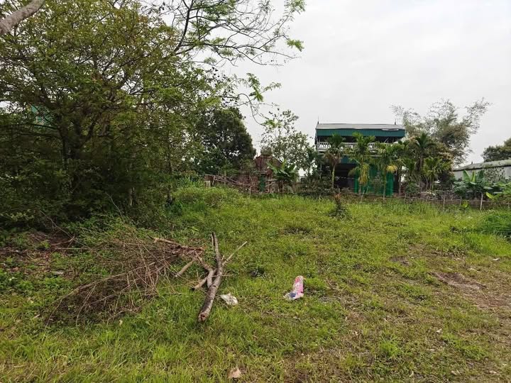 Lão Cầu, Tiên Tân, đất vàng đầu tư, sinh lời vững chắc