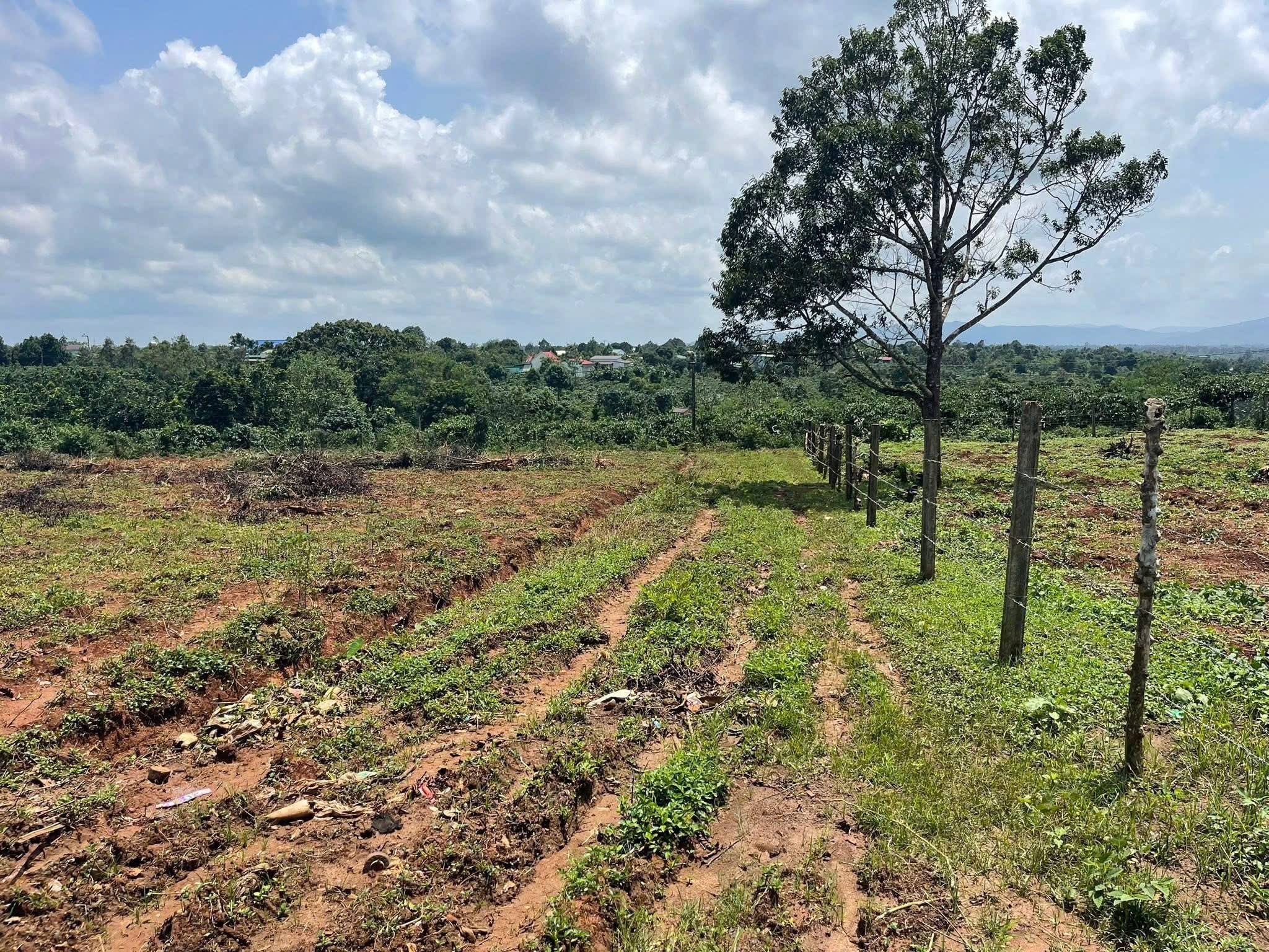 Cơ hội sở hữu lô đất nền cuối cùng tại Làng Nú, Ia Ring, Phú Thiện, Gia Lai