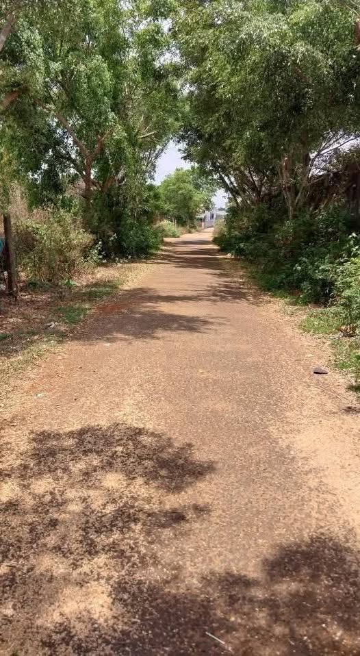 Bán hai lô đất vàng tọa lạc tại hẻm 43 Ngô Quyền, xã Biển Hồ, hẻm ô tô, giá hấp dẫn