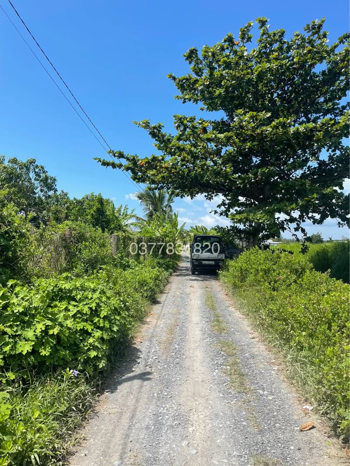 Cơ hội sở hữu ngay 573m2 đất lúa mặt tiền kênh thoáng đãng, tọa lạc tại Phường 9