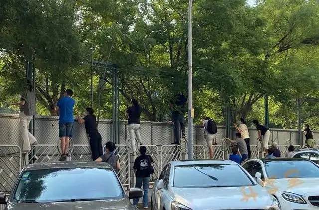 Siêu phẩm Cầu Giấy 6 tầng thang máy, view công viên, ô tô sát nhà