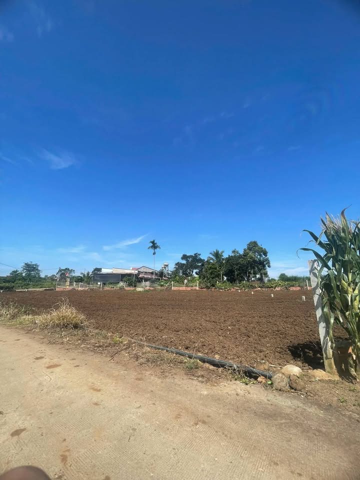 Chào mừng quý nhà đầu tư đến với "mỏ vàng" đất nền tại Tân Hội, Đức Trọng, Lâm Đồng