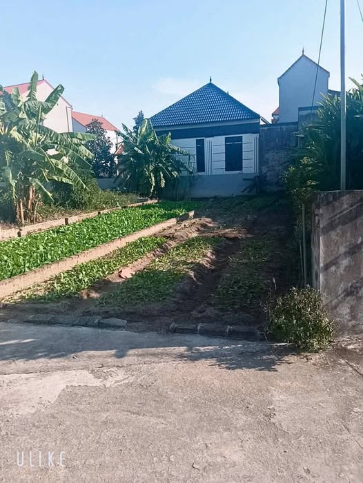 Mảnh đất nhỏ xinh, ô tô đỗ cửa, giá đầu tư hấp dẫn tại Thường Tín, Hà Nội