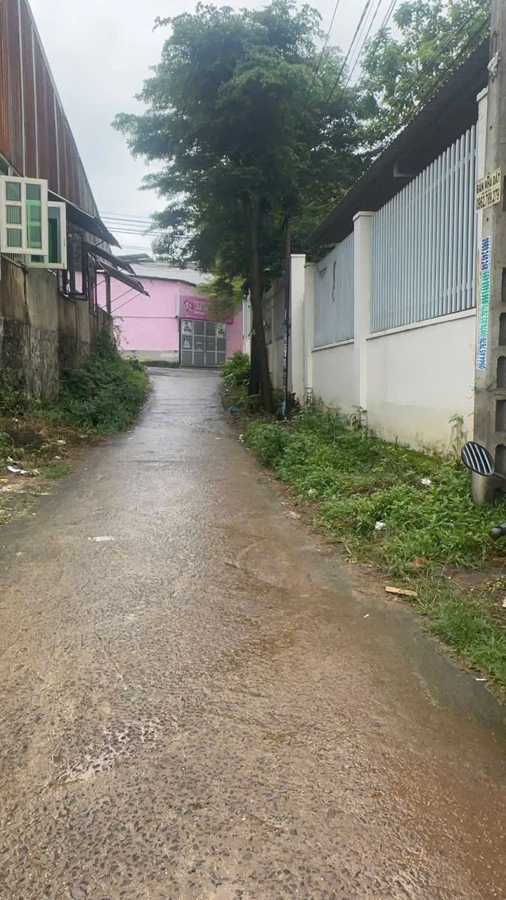 Bán đất tặng nhà Lê Duẩn, giá 2,65 tỷ, vị trí vàng