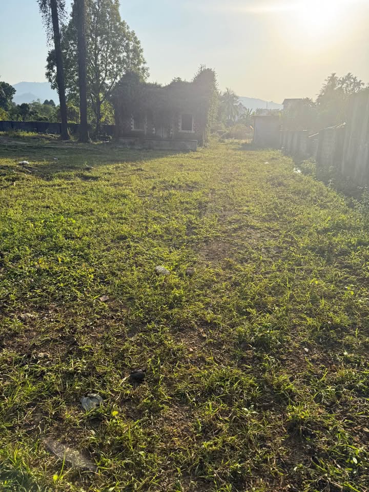 Đất vàng Phú Cát 1650m2 phân lô cực thơm, giá hời như cho