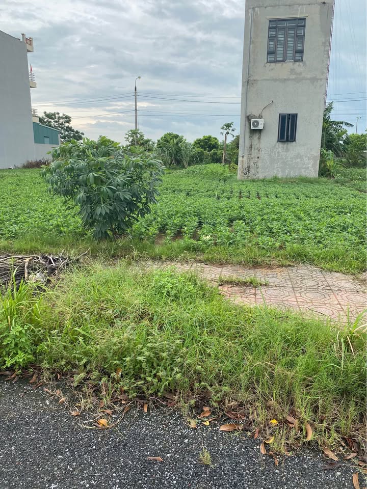 Bán lô đất tái định cư Tân Quán, Tân Bình, Vũ Thư, Thái Bình, diện tích 72m2, đường 5m