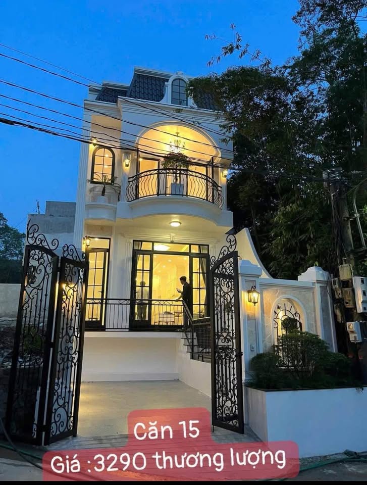 Biệt thự 2 căn chanh sả 100m2, 4 phòng ngủ, full nội thất, giá nhỉnh 3 tỷ/căn