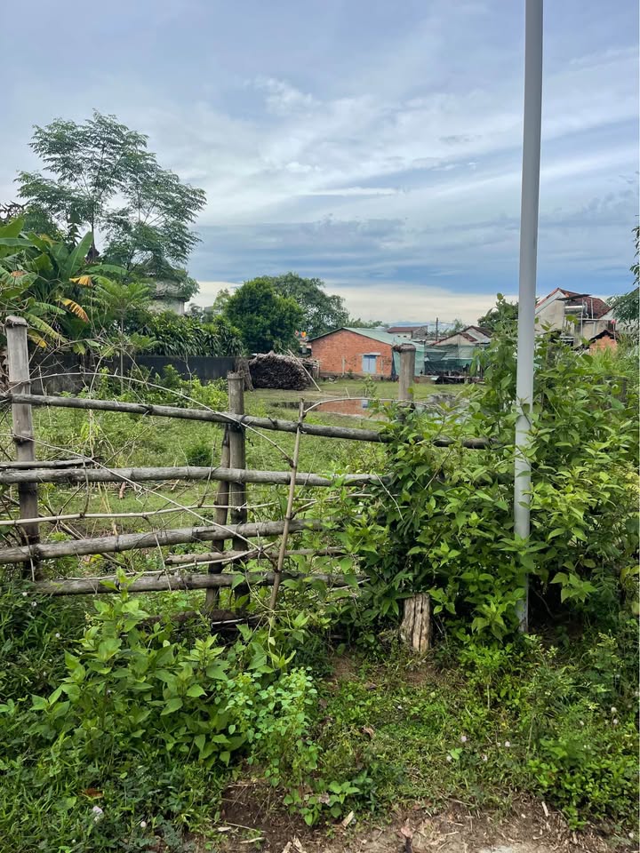 Bán đất vườn 580m2 nở hậu, đường ô tô 3m tại Tam Kỳ