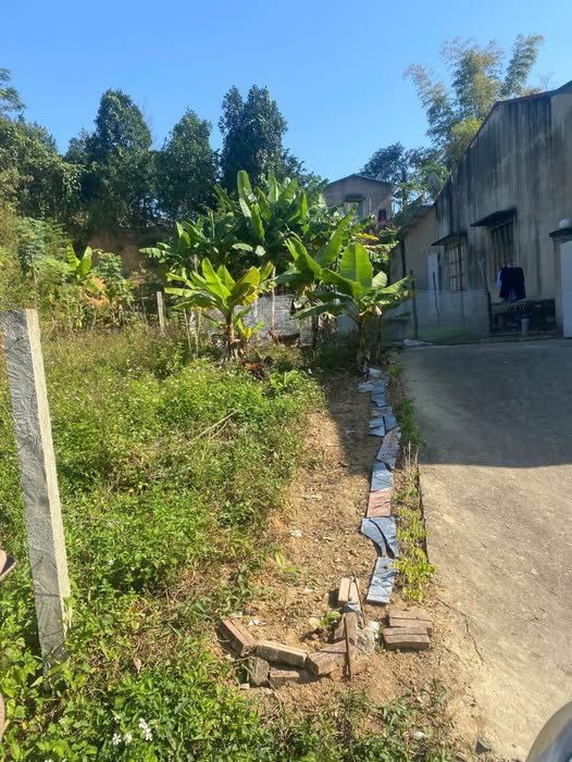 Đất đẹp Quang Trung, đầu tư sinh lời, xây nhà an cư