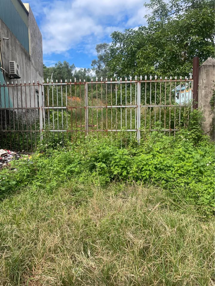 Đất Cẩm Phả 1245m2 vuông vắn, giáp KCN Việt Hưng, xe cont vi vu