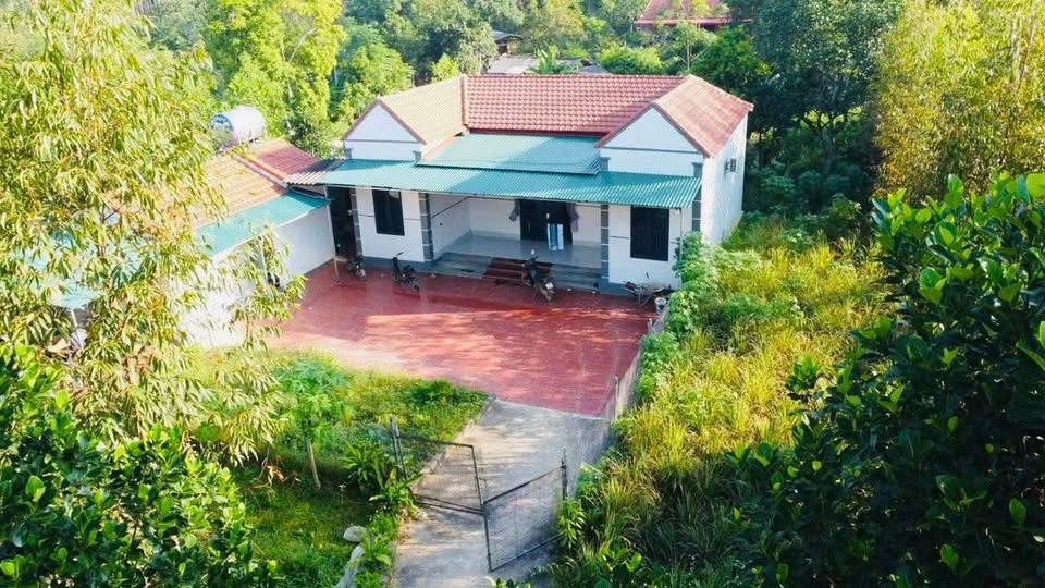 Đất thổ cư 1300m2, 3 mặt tiền, cách Hà Nội 65km