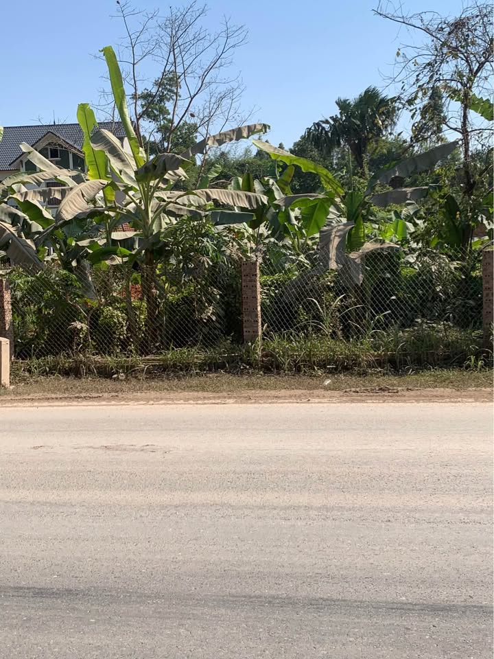 Đất vàng Đào Xá, mặt tiền 6m, trục chính 317, kinh doanh đỉnh, đầu tư phát lộc