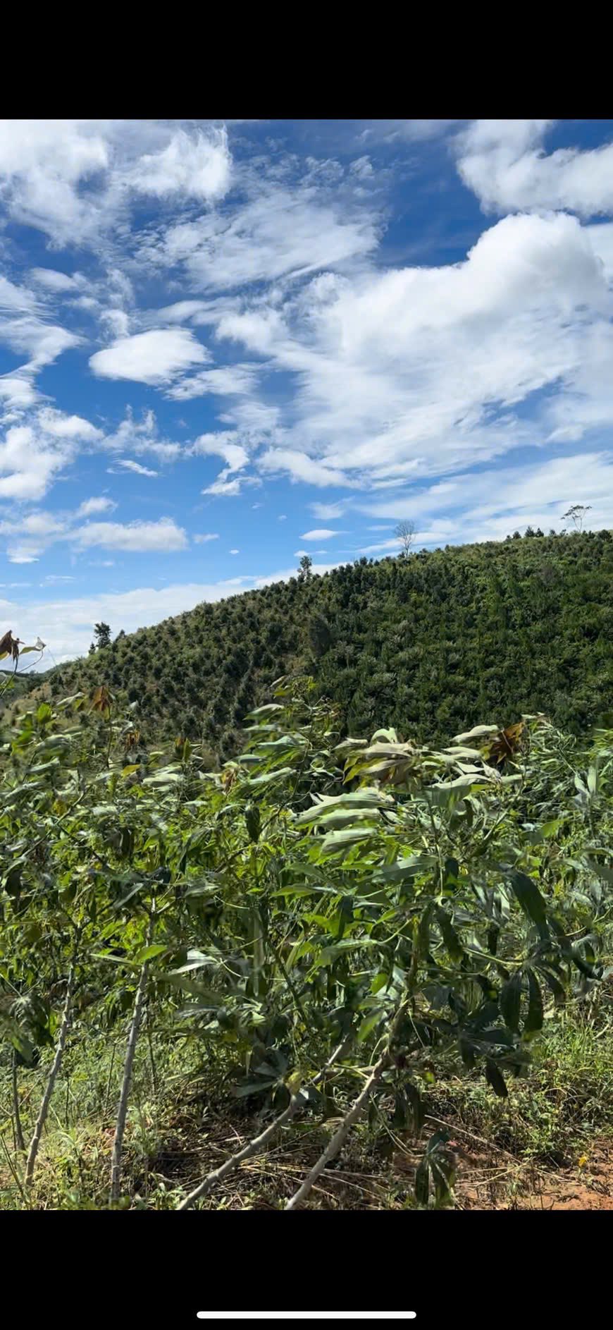 Bán mảnh đất 23.532,8m2 tại Đắk Glei, Kon Tum, đã có sổ đỏ, pháp lý minh bạch, sang tên nhanh chóng