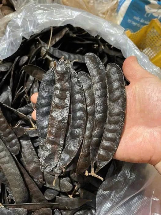 Bán đất 130m2 gần chợ Ea Kao, Buôn Ma Thuột, sổ đỏ sẵn sàng giao dịch