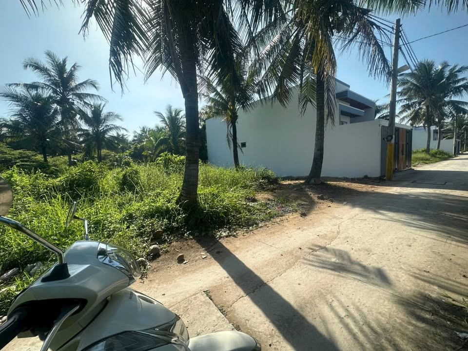 Đất vàng Phú Tân, Bến Tre 100m2 thổ cư, sẵn sổ, xe hơi tới nền