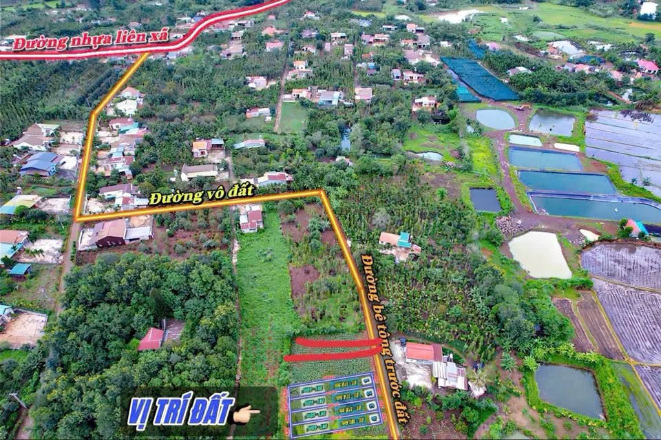 Bán nhanh lô đất sổ sẵn 170 triệu, khu dân cư đông đúc