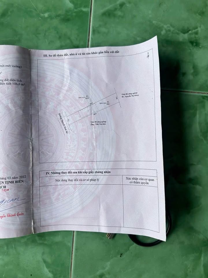 Bán nền tặng nhà cực xịn đường Nguyễn Sinh Sắc, Nhà Bàng, giá yêu thương