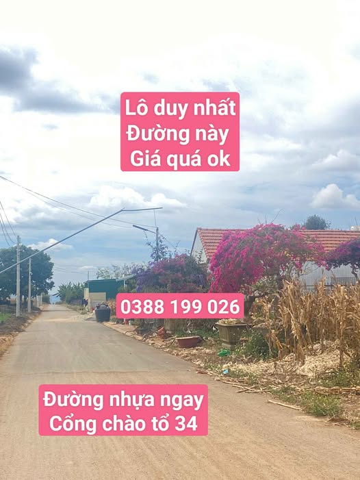 Bán đất thổ cư 114m2, mặt tiền 6m, đường nhựa 6m có vỉa hè, Đức Trọng, Lâm Đồng