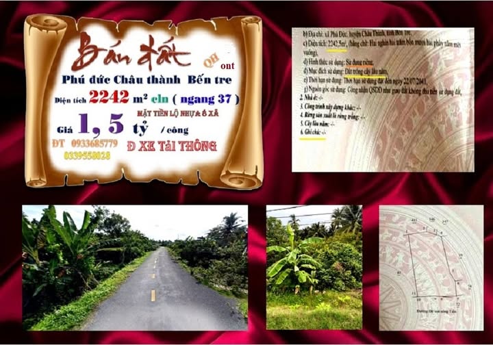 Bán đất mặt tiền rộng 37m, 2242m² tại Phú Đức, Bến Tre, sẵn sàng xây dựng