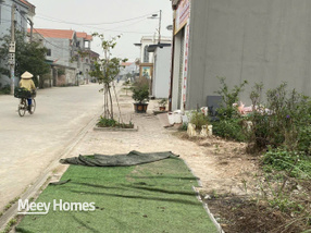 Đất xịn tặng vườn chuối, kinh doanh bao lời