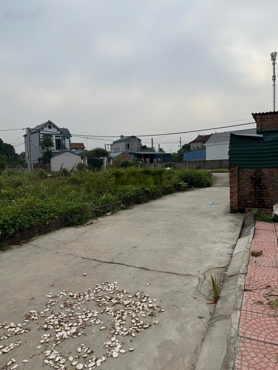 Bán đất Thanh Trí - Minh Phú - Sóc Sơn 81m2 x MT 5m ô tô vào đất - ngõ nông nhỉnh 1.7 tỷ